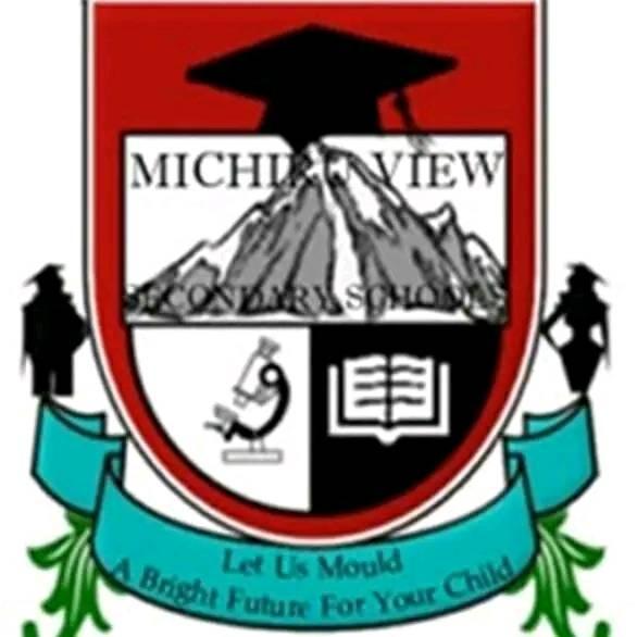 Michiru View Schools Logo