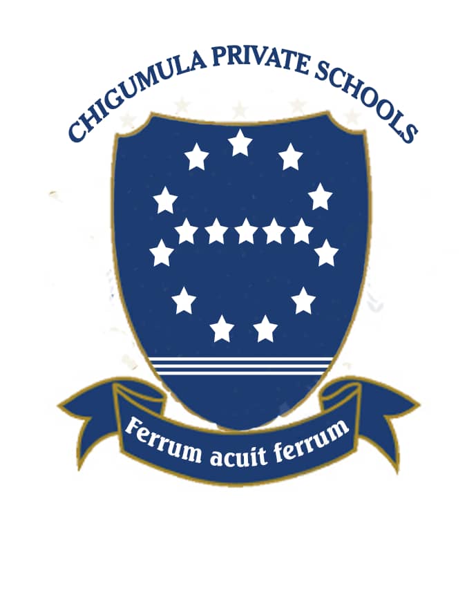 Chigumula Private Schools  Logo