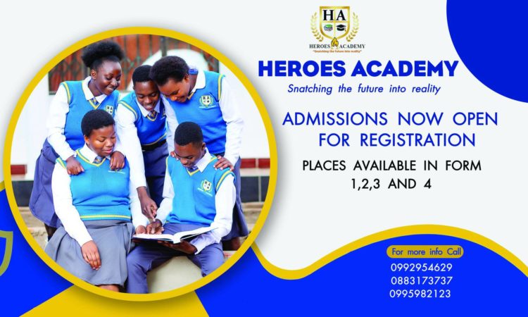 Heroes Academy Mw6