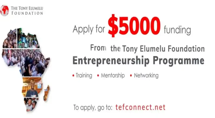 Tony Elumelu Entrepreneurship Programme