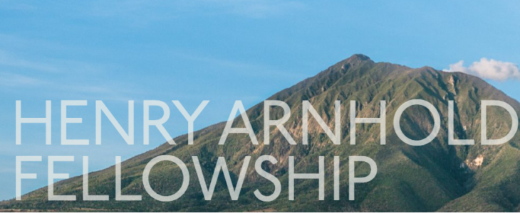 Henry Arnold Fellowship 2026 for Entrepreneurial Leaders