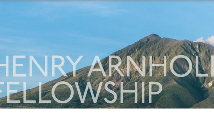 Henry Arnold Fellowship 2026 for Entrepreneurial Leaders ($100,000 grant)